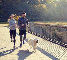 Best Dog Breeds for Active People