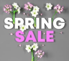 7 Bargains Pet Owners Won’t Want to Miss This Amazon Spring Sale