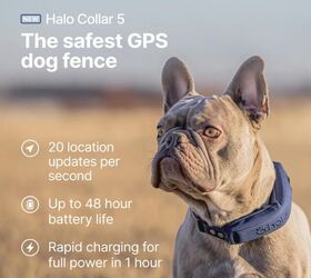Halo Collar 5 Wireless Dog Fence & GPS - image via Amazon
