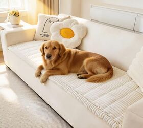 pet hair everywhere try these 5 quick hassle free fixes, Couch Cover for Dogs image via Amazon