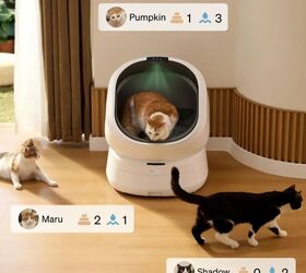 Petlibro Luma Smart Litter Box