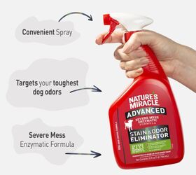 5 easy ways to stop pet odors taking over your home, Nature s Miracle Advanced Stain and Odor Eliminator Dog Spray image via Amazon