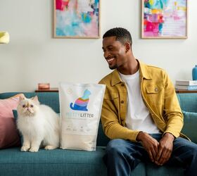 why its time to change to a new kitty litter