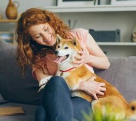 pet sitting vs kennels whats best for your dog or cat, Dog with woman image via Canva