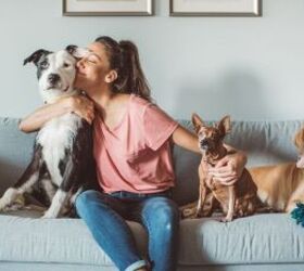 pet sitting vs kennels whats best for your dog or cat, Woman with dogs image via Canva