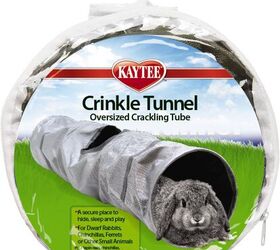 how to socialize your pet ferret