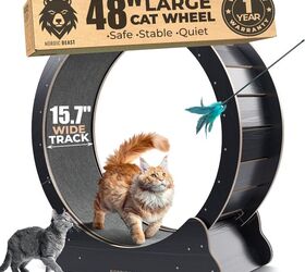 what are the pros and cons of cat exercise wheels