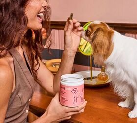 Spring Scratching & Red Paws? A Smarter Way to Help Dogs Feel Better