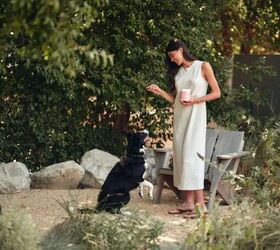 spring scratching red paws a smarter way to help dogs feel better, Itchy Pup Bundle by WagWell