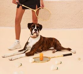 spring scratching red paws a smarter way to help dogs feel better, Itchy Pup Bundle by WagWell