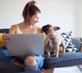 1 in 4 Pet Parents Now Use ChatGPT to Understand Their Pet's Health