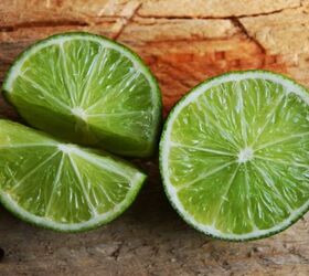 5 Summer Fruits Your Dog Mustn't Eat
