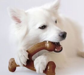 Chewy's Pet Month Deals Make Shopping a Breeze