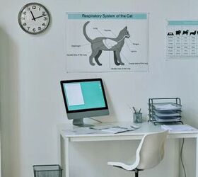found a lost dog heres what to do next, Contact local vet clinics image via Canva