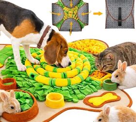 want to enrich your dog s life here s how