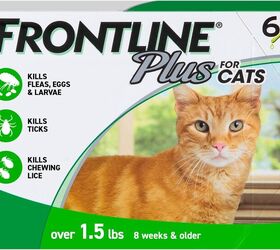 how to protect your cat from ticks