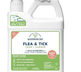 how to protect your cat from ticks