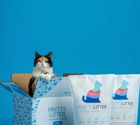 this smart cat litter could help you spot health problems early, PrettyLitter