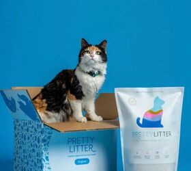 this smart cat litter could help you spot health problems early, PrettyLitter