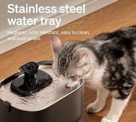PETLIBRO Cat Water Fountain - image via Amazon