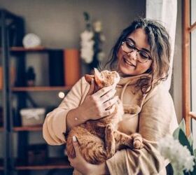 Cat Behavior Explained: 5 Reasons Cats Love Knocking Things Over