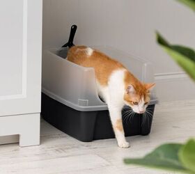 5 easy tips to make litter training your cat a breeze, IRIS USA Large Cat Litter Box image via Amazon