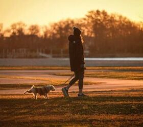 why your dog keeps barking at night and how to help, Evening dog walks image via Canva