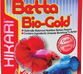 how to properly care for betta fish