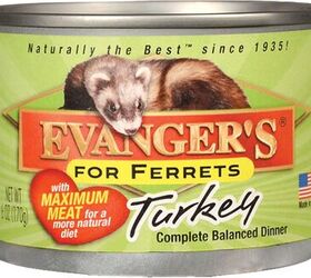 what do ferrets eat a guide to feeding your pet ferret