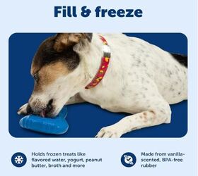 PetSafe Chilly Penguin - image via Amazon