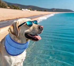 EXPAWLORER Dog Cooling Bandana - image via Amazon