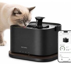 PETLIBRO Cordless Cat Water Fountain - image via Amazon
