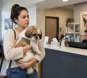 Taking pet to emergency clinic or vet