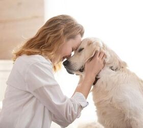 Caring for your pet -image via Canva