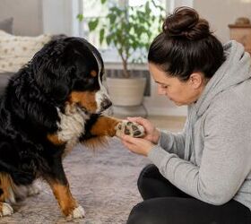 Checking for injury or irritants