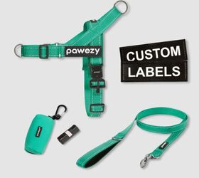 tired of your dog constantly pulling a smarter harness exists, Pawezy