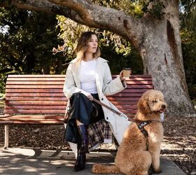 tired of your dog constantly pulling a smarter harness exists, Pawezy