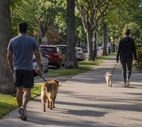 how to stop your dog barking at other dogs 6 tips for peaceful walks, The goal walking your dog with ease around other leashed dogs