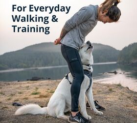 how to stop your dog barking at other dogs 6 tips for peaceful walks, Ruffwear Front Range Dog Harness image via Amazon