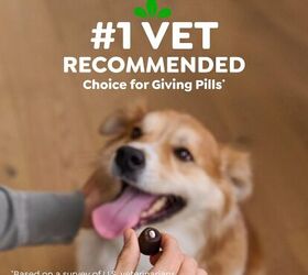 how to give your pet a pill when they refuse 7 stress free tips, Greenies Pill Pockets for dogs large size image via Amazon