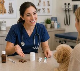 how to give your pet a pill when they refuse 7 stress free tips, Discussing medicine options with your vet
