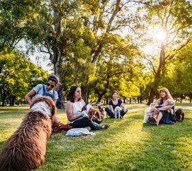 Dog Park Etiquette Every New Dog Owner Should Know 