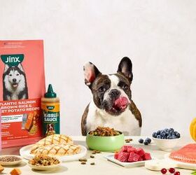 Your Dog's Mealtime And Snacktime Just Got Better With Jinx