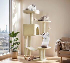 tips to help your dog and cat get along or at least coexist, Cat Climbing Tower with Natural Sisal Scratching Posts Amazon