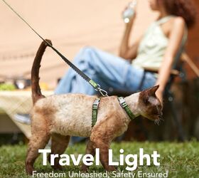 stress free tips for long road trips with cats, Cat Harness and Leash Set Escape Proof Adjustable Cat Harness Amazon