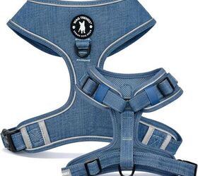 how to choose the right harness for your dog