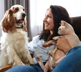 Top 10 Most Popular Pet Names for Dogs and Cats in 2026