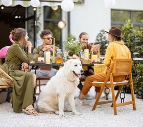 how to enjoy outdoor patios with your dog this season, Photo credit RossHelen Shutterstock com