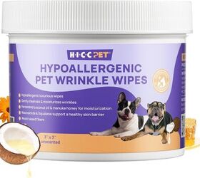 5 brachycephalic dog breedsand what to consider for flat faced dogs