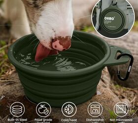 8 essential tips for a safe unforgettable dog hike, Image via Amazon